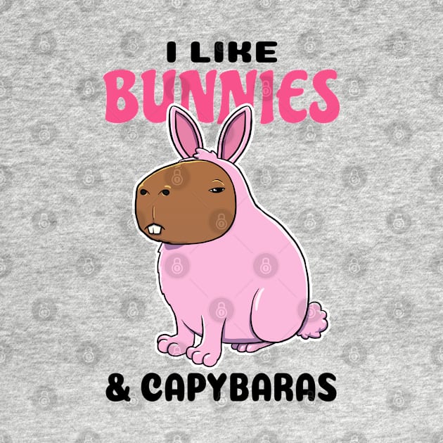 I Like Bunnies and Capybaras by capydays